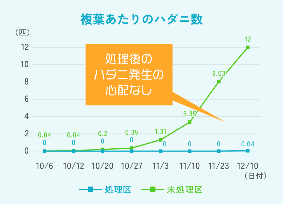 複葉あたりのハダニ数のグラフ:処理後のハダニ発生の心配なし