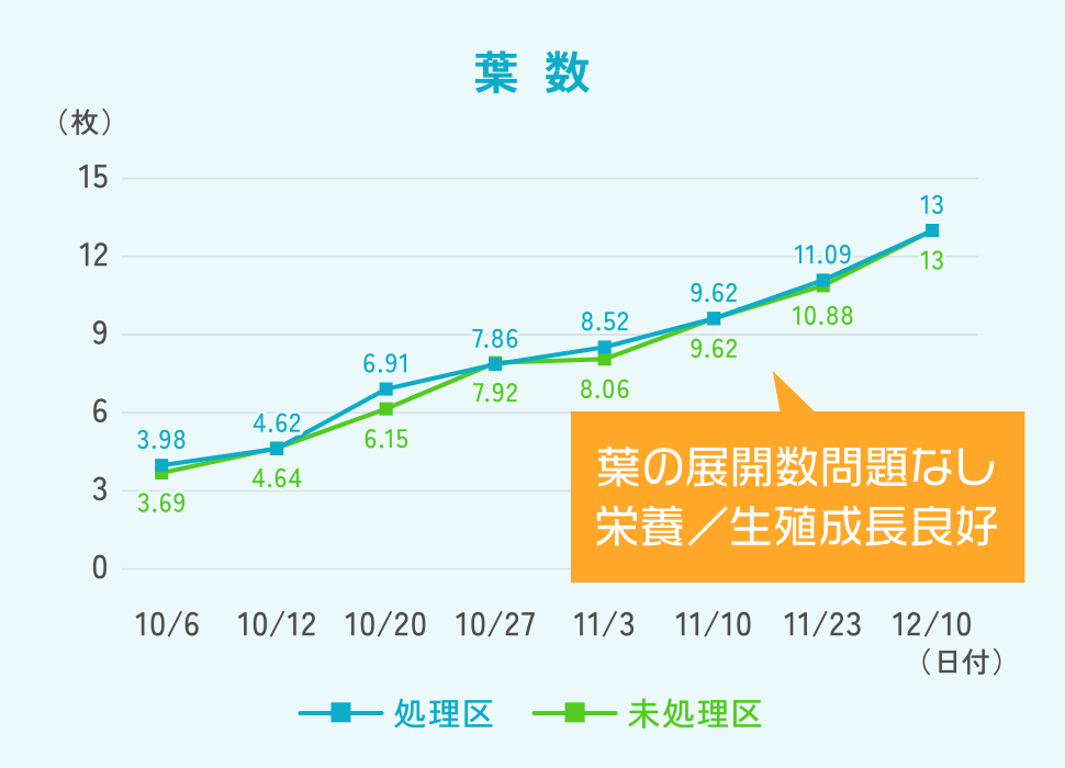 葉数のグラフ:葉の展開数問題なし 栄養／生殖成長良好