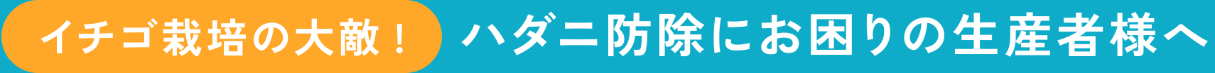 イチゴ栽培の大敵! ハダニ防除にお困りの生産者様へ