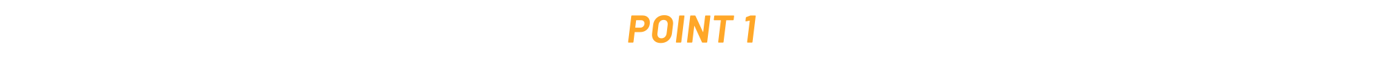 POINT 1