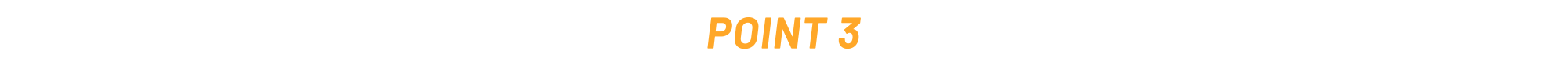 POINT 3