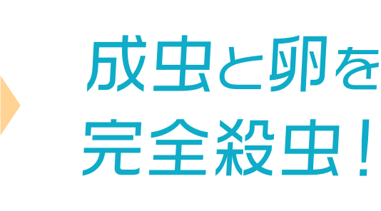 成虫と卵を完全殺虫！