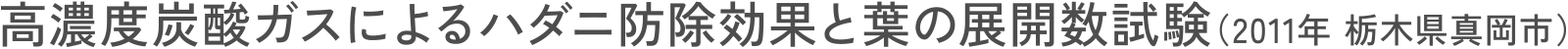 高濃度炭酸ガスによるハダニ防除効果と葉の展開数試験（2011年 栃木県真岡市）